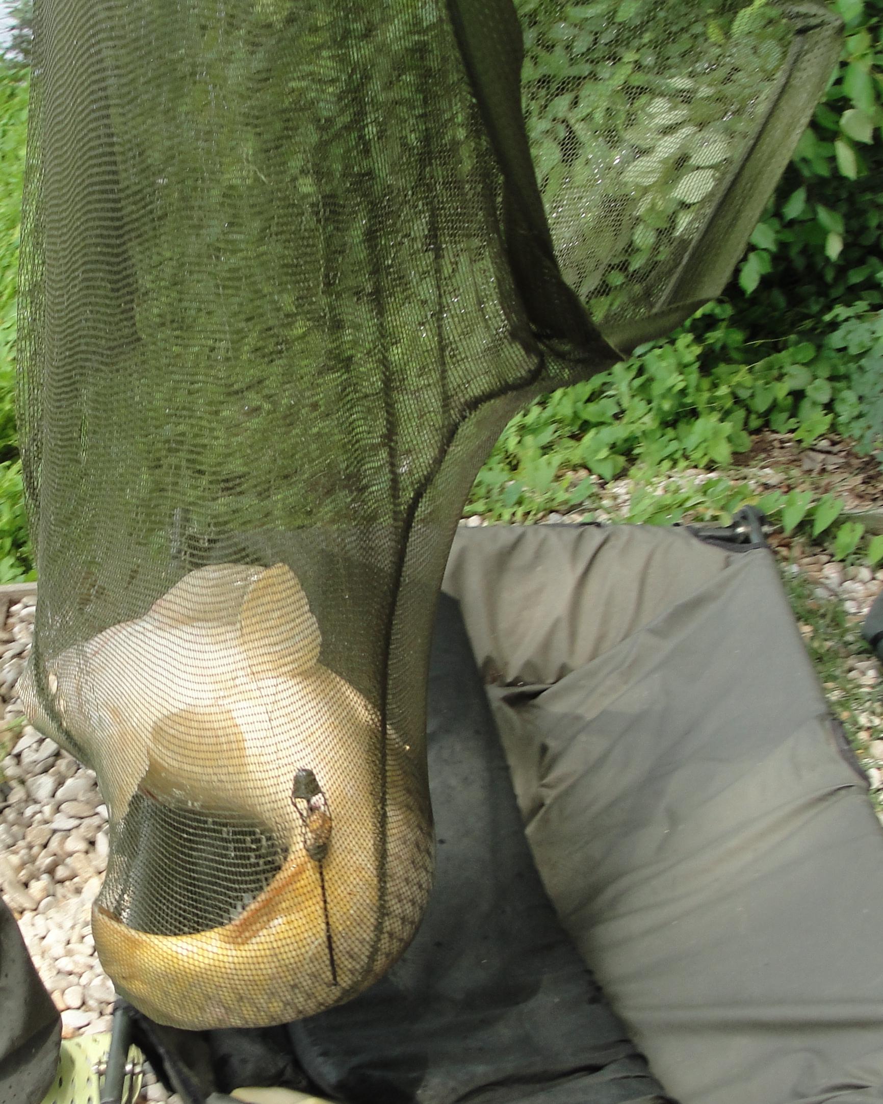 Moara Vlasiei 2 9 - 9 iun. - unde e asezat comod